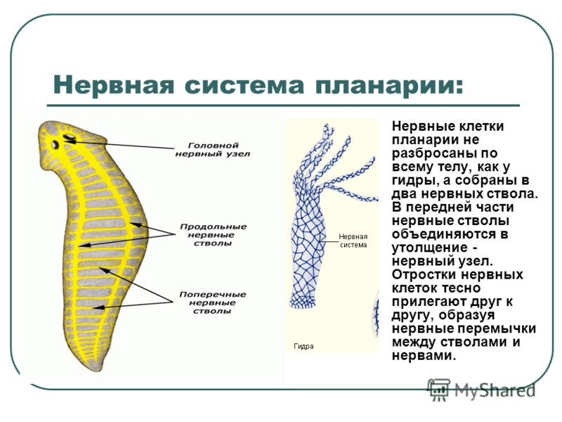 Кракен торговая площадка даркнет